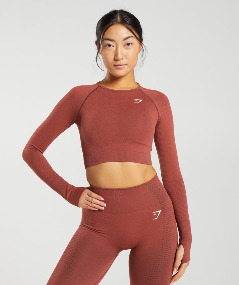 Women\'s Gymshark Vital Seamless 2.0 Cropped Tops Brown | CA 08D156